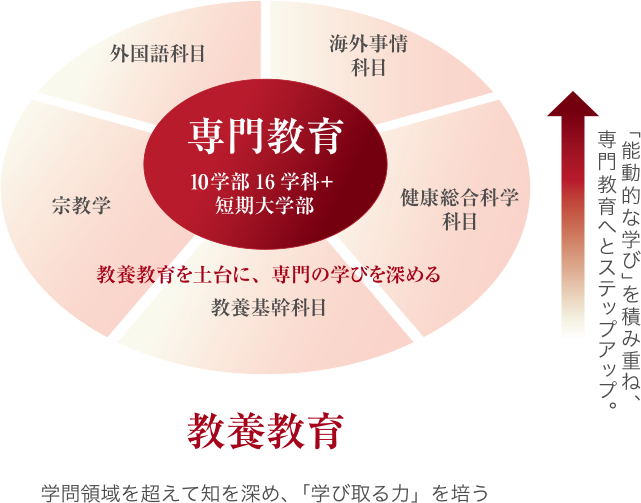 教養教育