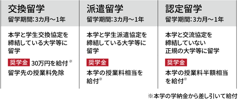海外語学研修の表