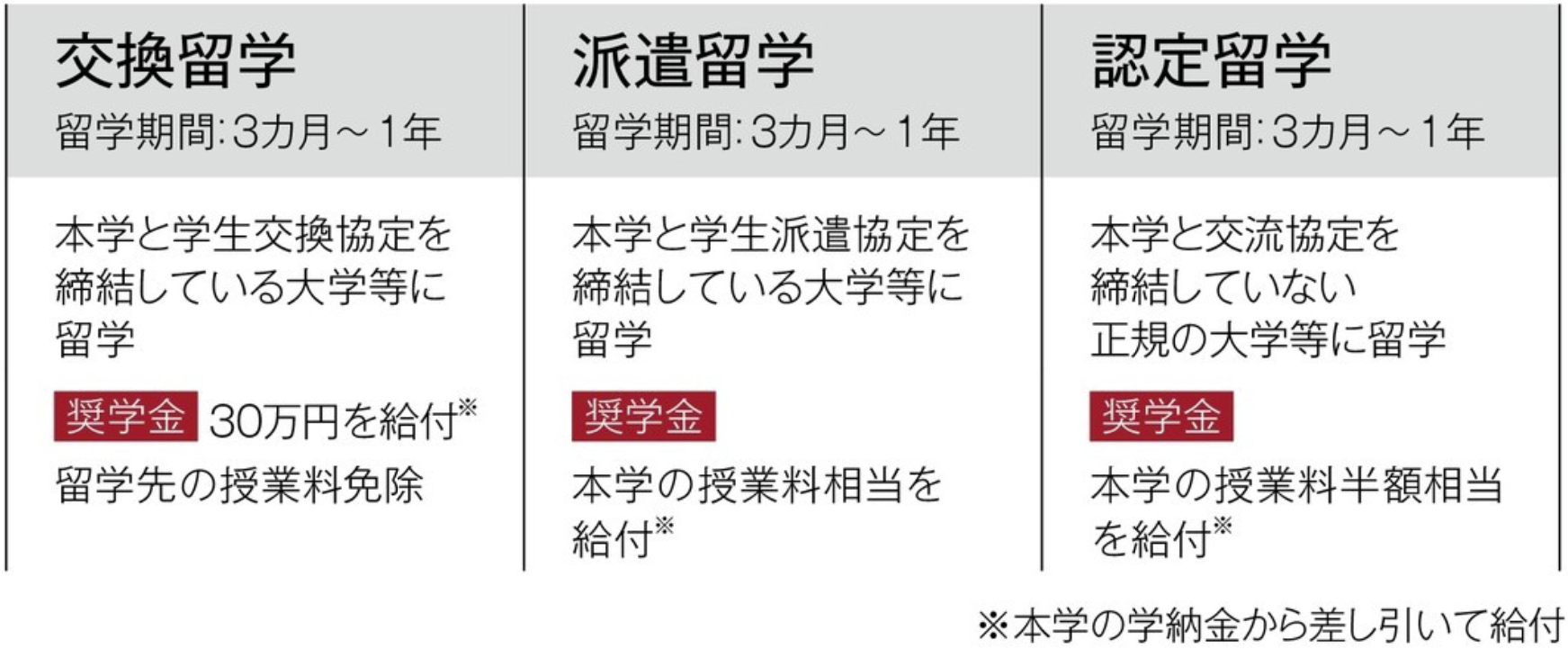 海外語学研修の表