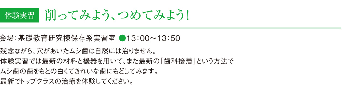 体験実習 削ってみよう、つめてみよう!